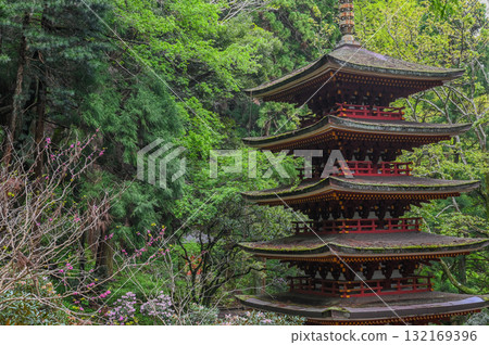 Muroji Temple - An ancient temple for women in Koya Muroji Temple - An ancient temple for women in Koya 132169396