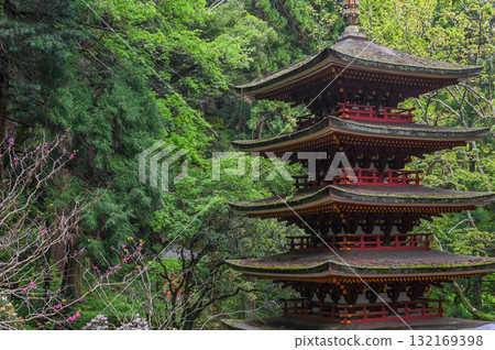 Muroji Temple - An ancient temple for women in Koya 132169398