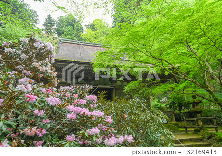 室生寺 - 高野的古老女性寺廟 132169413
