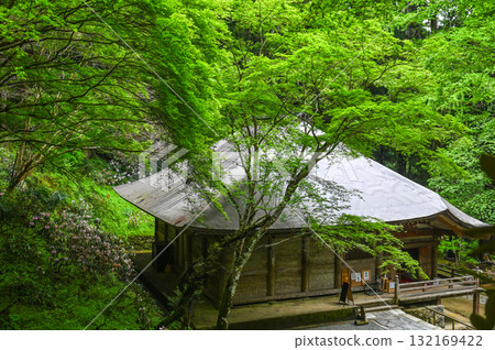室生寺 - 高野的古老女性寺廟 132169422