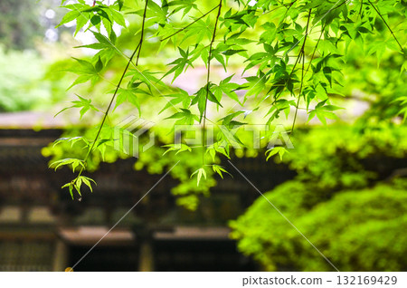 Muroji Temple - An ancient temple for women in Koya 132169429