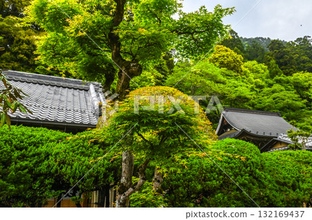 室生寺 - 高野的古老女性寺廟 室生寺 - 高野的古老女性寺廟 132169437