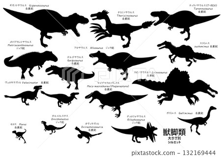 暴龍和其他獸腳類恐龍剪影集 132169444