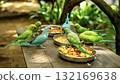 Colorful parrots gather around food in a lush garden 132169638