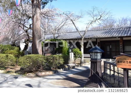 長野縣小諸城遺址懷舊花園的藤村紀念館和垂枝櫻花 132169825
