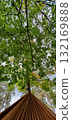 View from a hammock tied to a tree in an autumn forest, mobile photo. Concept of relaxation, nature, leisure, authenticity. 132169888