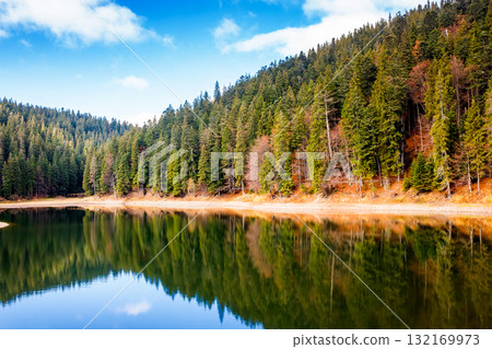 lake in carpathian mountains on a sunny autumn day. scenic view with coniferous forest reflection on the clear water. amazing cloudscape. beautiful landscape of synevyr national park of ukraine lake in carpathian mountains on a sunny autumn day. scenic view with coniferous forest reflection on the clear water. amazing cloudscape. beautiful landscape of synevyr national park of ukraine 132169973