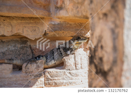 Kaaba - Mayan stone architecture Kaaba - Mayan stone architecture 132170762