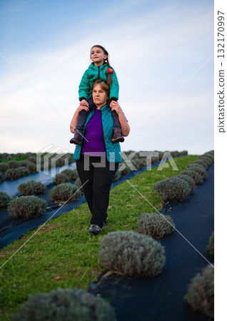 Grandmother and granddaughter stroll through a lavender field, a heartwarming moment of intergenerational connection. Grandmother and granddaughter stroll through a lavender field, a heartwarming moment of intergenerational connection. 132170997