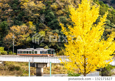 Late autumn on the Kishin Line: Local train 3 bound for Harima-Shingu Station crossing the railway bridge over the Sayo River. Sayo Town, Sayo District, Hyogo Prefecture. Late autumn on the Kishin Line: Local train 3 bound for Harima-Shingu Station crossing the railway bridge over the Sayo River. Sayo Town, Sayo District, Hyogo Prefecture. 132171827