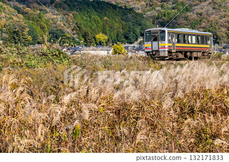 Late autumn on the Kishin Line: Local train 2 bound for Tsuyama Station, passing by swaying silver grass. Sayo Town, Sayo District, Hyogo Prefecture. Late autumn on the Kishin Line: Local train 2 bound for Tsuyama Station, passing by swaying silver grass. Sayo Town, Sayo District, Hyogo Prefecture. 132171833