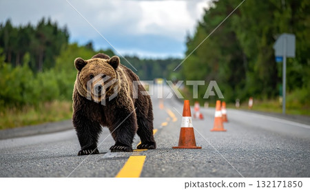 AI Image: A bear descends into a human settlement AI Image: A bear descends into a human settlement 132171850