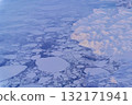 壯觀的格陵蘭自然風光：峽灣和流冰 132171941