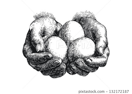 Human hands gently holding three eggs, engraved sketch style, isolated on white background, concept of care, nature, and simplicity Human hands gently holding three eggs, engraved sketch style, isolated on white background, concept of care, nature, and simplicity 132172187