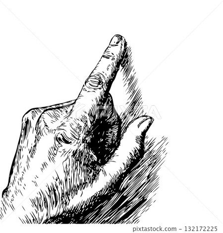 Detailed sketch of a human hand with fingers crossed, ink drawing style, isolated on white background, concept of hope and superstition Detailed sketch of a human hand with fingers crossed, ink drawing style, isolated on white background, concept of hope and superstition 132172225