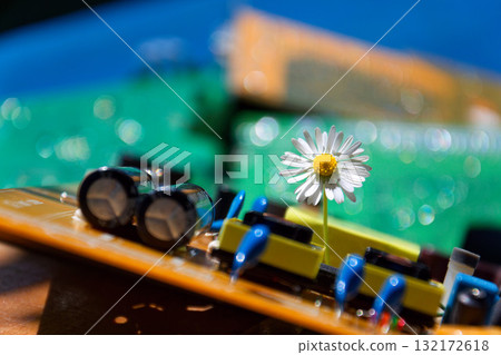 A daisy growing through a computer motherboard, energy consumption by artificial intelligence concept, environmental impacts 132172618