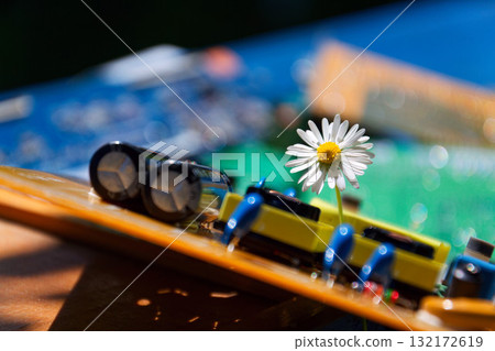 A daisy growing through a computer motherboard, energy consumption by artificial intelligence concept, environmental impacts A daisy growing through a computer motherboard, energy consumption by artificial intelligence concept, environmental impacts 132172619