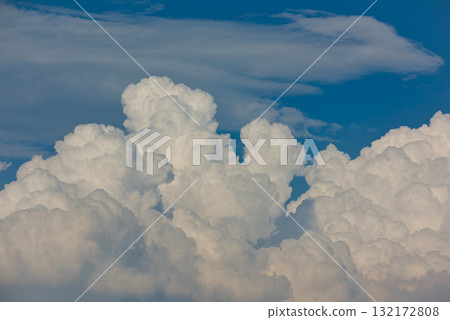 Thunbergye Thunbergye 132172808