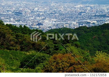 The view from the observation deck of ABURAYAMA FUKUOKA (formerly Aburayama Citizens' Forest) 132172858