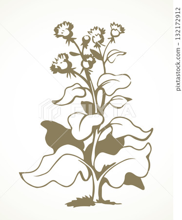 Big blooming burdock. Vector drawing 132172912