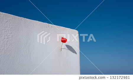 Minimal red poppy on white wall with deep blue sky and generous copy space Minimal red poppy on white wall with deep blue sky and generous copy space 132172981