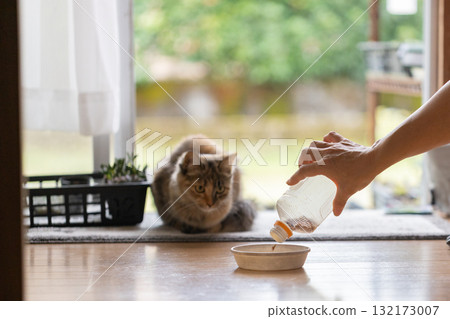 小貓正在餵食 132173007