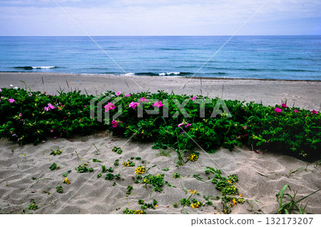 [新潟縣_佐渡市]花島：初夏六月的宗浜海灘 132173207