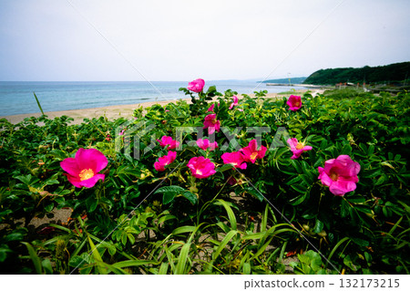 [新潟縣_佐渡市]花島：初夏六月的宗浜海灘 132173215