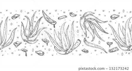 Aloe vera plant, sliced leaves with dripping gel monochrome vector seamless banner. Healing plant and juice drops pattern in black ink style. For skincare packaging, health blog, cosmetic design 132173242