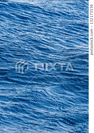 Exocoetidae Flying fish propel themselves out of the water to glide above the surface for hundreds of meters, not to fly, as a way to escape predators like dolphins and tuna. 132173536