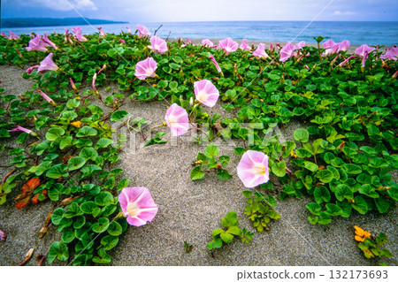 [新潟縣_佐渡市]花島：初夏六月的宗浜海灘 132173693