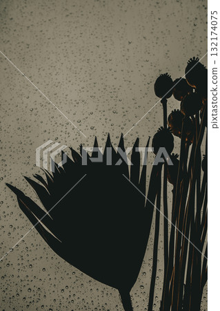 Silhouette of flowers and leaves against a rainy window. A moody, artistic shot featuring the silhouettes of plants against a window with raindrops 132174075