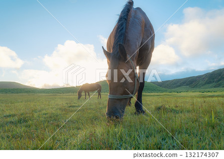 Scenery of Aso 132174307
