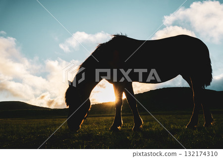 麻生的風景 132174310