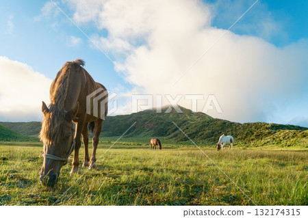 麻生的風景 132174315