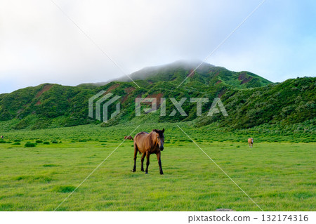 麻生的風景 132174316