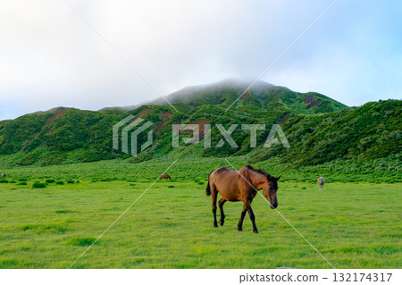 麻生的風景 132174317