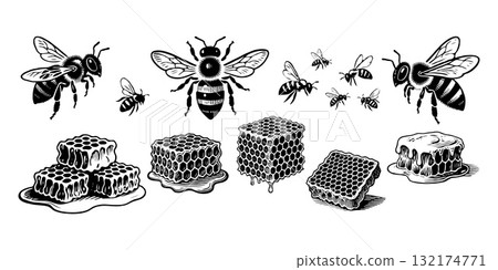 Group of bees and honeycombs in hand-drawn ink style on white background, representing natural beekeeping and honey production concept 132174771