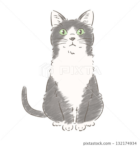 Sitting calico cat (hand-drawn style) 132174934