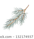Green pine branch watercolor clipart, hand drawn with fine needle detail, great for Christmas packaging, eco stationery, natural pattern design, and winter-themed compositions 132174937