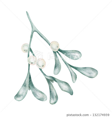 Watercolor mistletoe with soft green leaves and white berries, hand drawn clipart for Christmas cards, romantic seasonal prints, textile design, and winter paper crafts 132174939