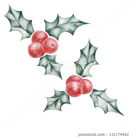 Holly leaves and red berries in bright green watercolor clipart, hand drawn for use in Christmas cards, stickers, pattern design, packaging, and decorative winter illustrations 132174942