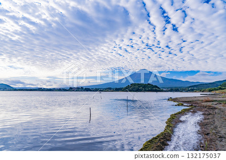 【山梨縣】清晨，從水位下降的河口湖畔眺望富士山 132175037