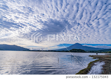【山梨縣】清晨，從水位下降的河口湖畔眺望富士山 132175043