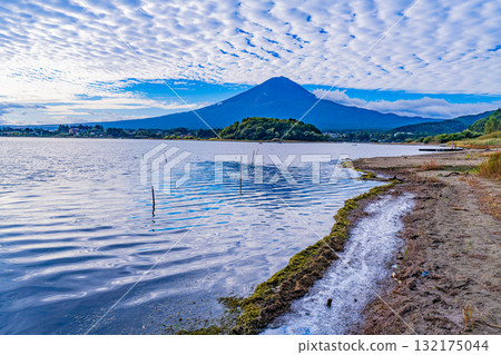 【山梨縣】清晨，從水位下降的河口湖畔眺望富士山 132175044