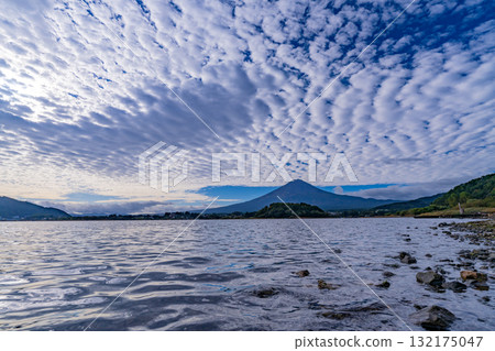 [Yamanashi Prefecture] Mount Fuji seen from the shore of Lake Kawaguchiko with the water level dropping early in the morning 132175047