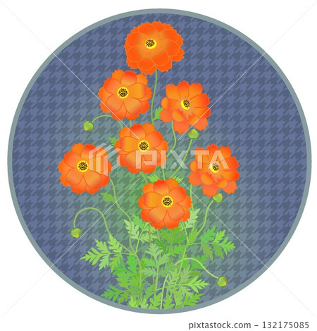 Illustration of yellow cosmos with circular background Illustration of yellow cosmos with circular background 132175085