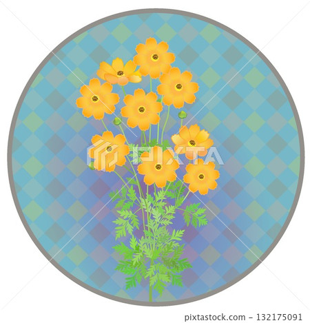 Illustration of yellow cosmos with circular background 132175091