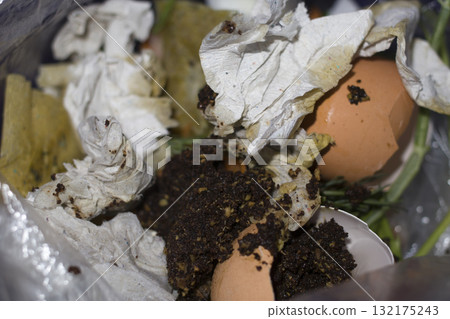 Organic food waste along with toilet paper. 132175243