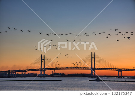 Yokohama Bay Bridge in the morning glow - the city waking up and the birds taking flight 132175347